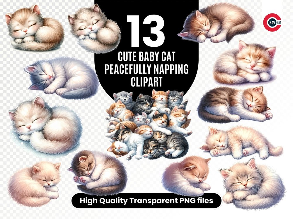 Cute Cat Watercolor Clipart